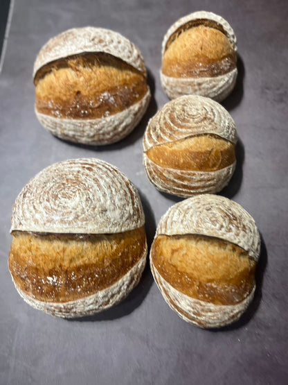 Country Sourdough 酸種麵包