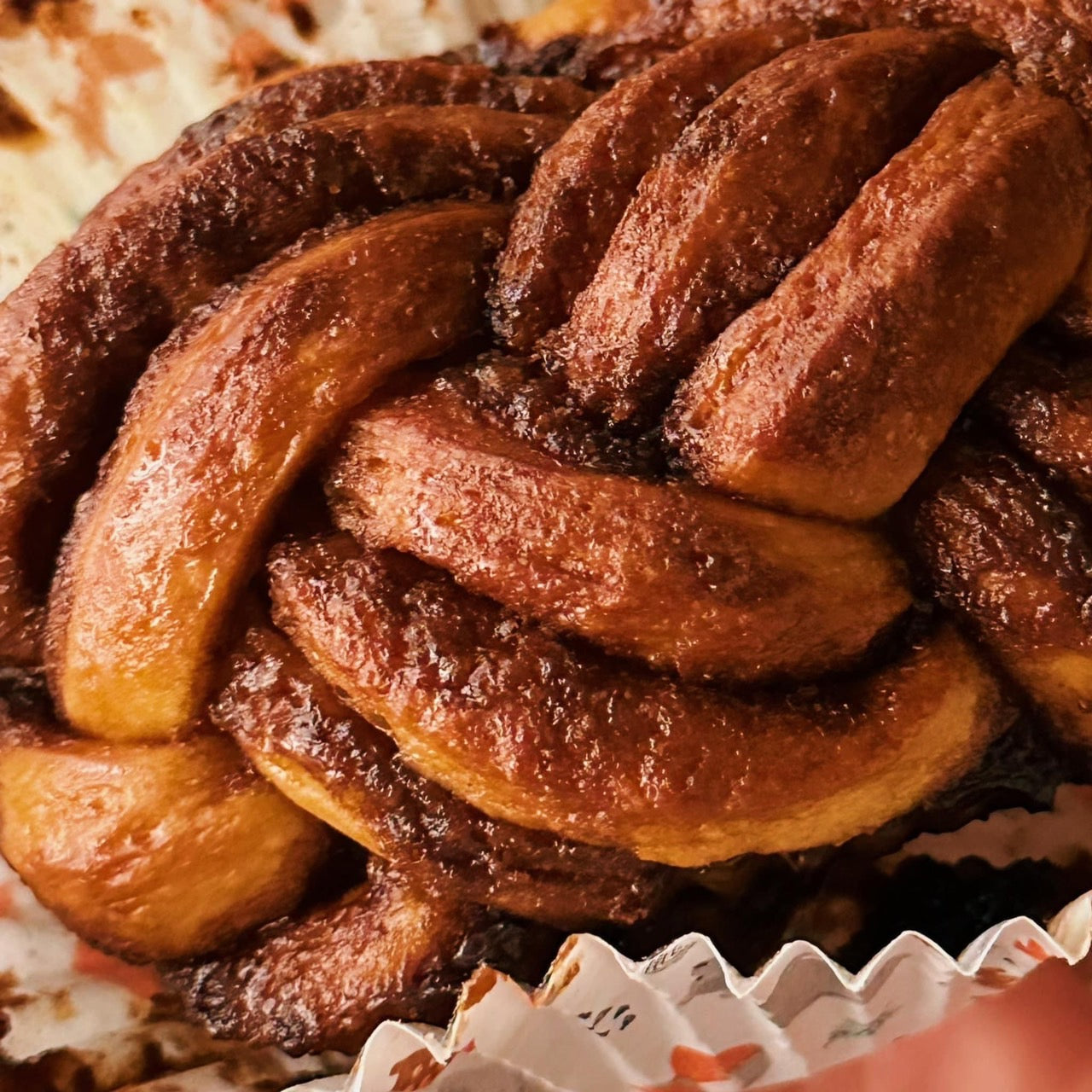 Cinnamon Knots 肉桂捲 編織肉桂結  (4 pieces) / Chocolate Knots比利時 編織巧克力結